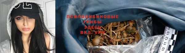 ECSTASY Белокуриха