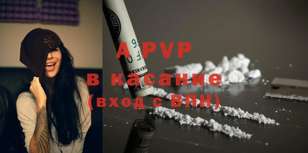 ECSTASY Белокуриха