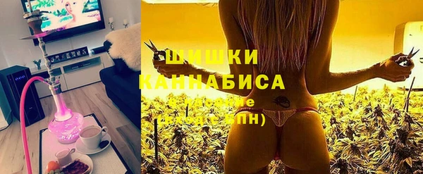 ECSTASY Белокуриха