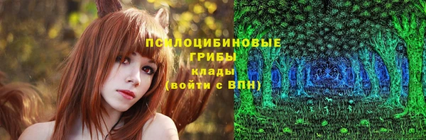 Альфа ПВП Беломорск