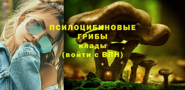 ECSTASY Белокуриха
